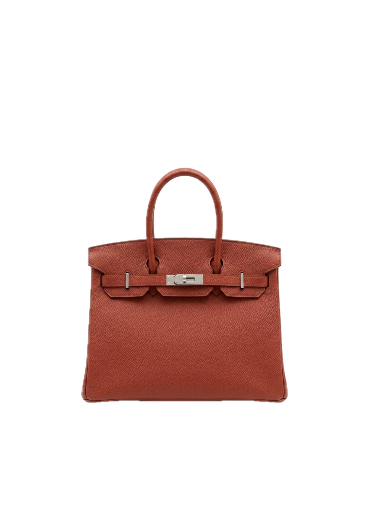 Birkin 25 Bag